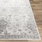 Livabliss Monte Carlo MNC-2331 Machine Crafted Area Rug MNC2331-679 - alternate 4